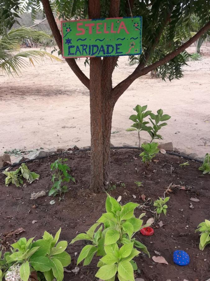Chale Com Vista Privilegiada Piloes Экстерьер фото